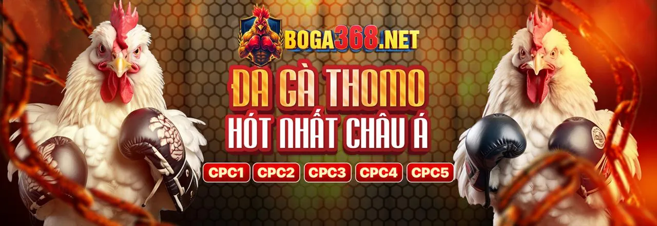 Hình ảnh sòng bạc trực tuyến với đá gà Thomo