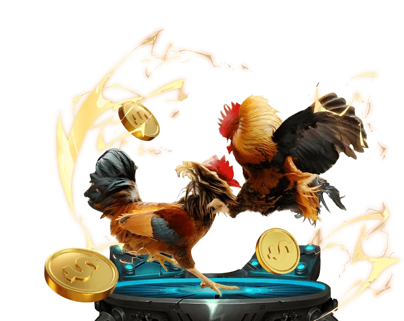 Quản lý rủi ro cá cược đá gà